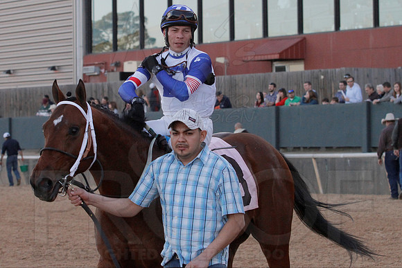Smarty Jones Stakes 01-20-14 (©Justin Manning) JWM_0435