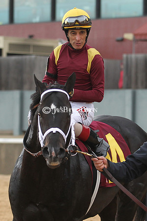 z190218_SouthwestStakesDay_Manning_795