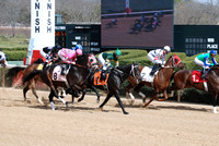 Oaklawn Park 3-3-13 JWM0001 (© Angela Greb)