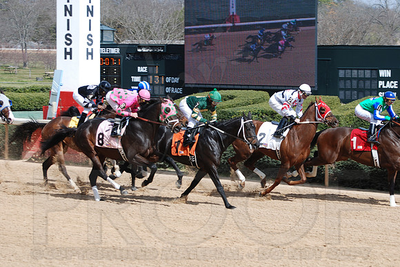 Oaklawn Park 3-3-13 JWM0001 (© Angela Greb)