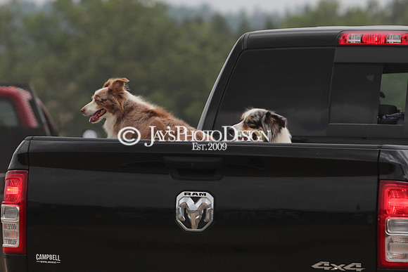 Whiskey Ridge Ranch (Chuckwagon Races) 5-26-24_JWM_0011