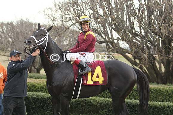 z190218_SouthwestStakesDay_Manning_812