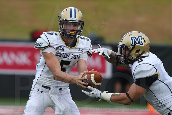 Montana State @ Arkansas State 8-30-2014 (©Justin Manning) JWM_671