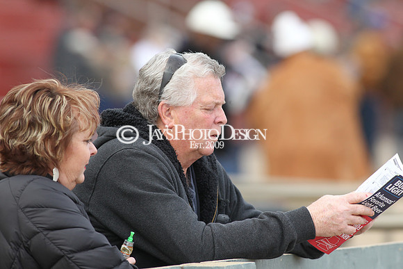 z190125_SmartyJonesStakesDay_Manning_0083