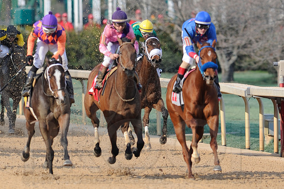 Honeybee Stakes (Grade III) 3-8-2014 (© Justin Manning) JWM_1403