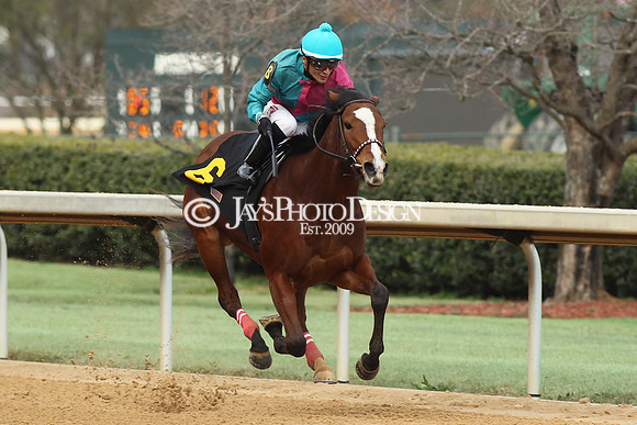 z190125_SmartyJonesStakesDay_Manning_0072