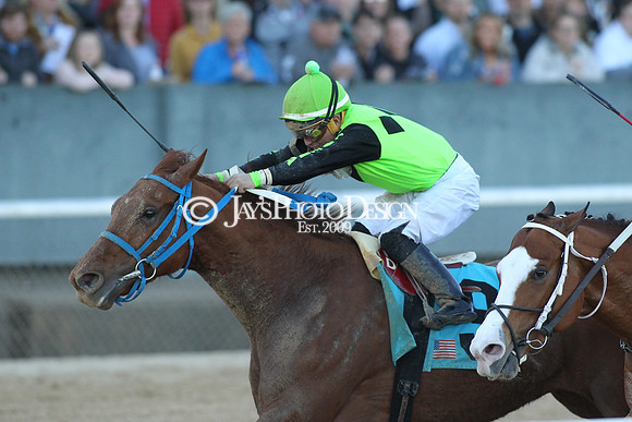 z190316_EssexStakes_Manning_0226