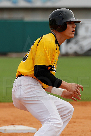 ASU vs. UAPB (Dickey Stephens Park) 5-8-12 (Justin Manning)122