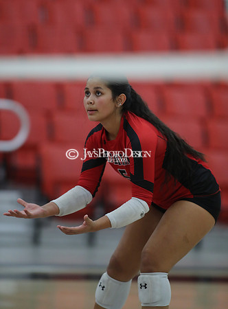 Wynne @ Harmony Grove 10-8-24_JWM_0834