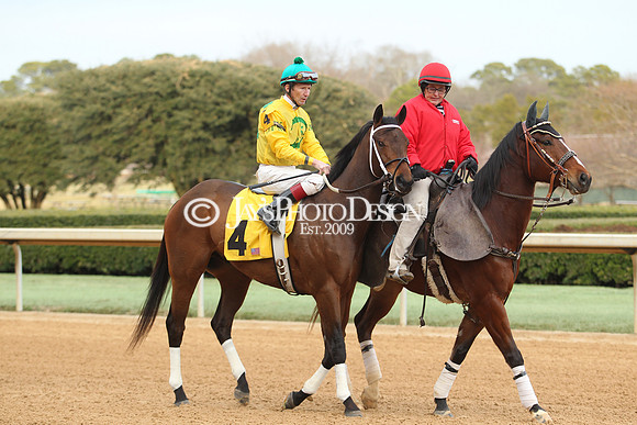 z190125_SmartyJonesStakesDay_Manning_0242