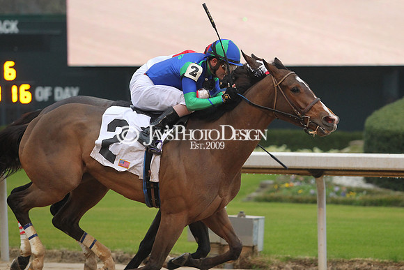 z200217_SouthwestStakesDay_Manning_0522