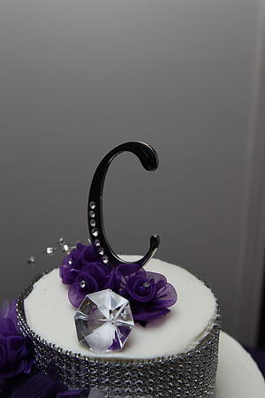 Mariah & Tyler Caussey wedding 8-1-2015 (©Justin Manning) JWM_0020
