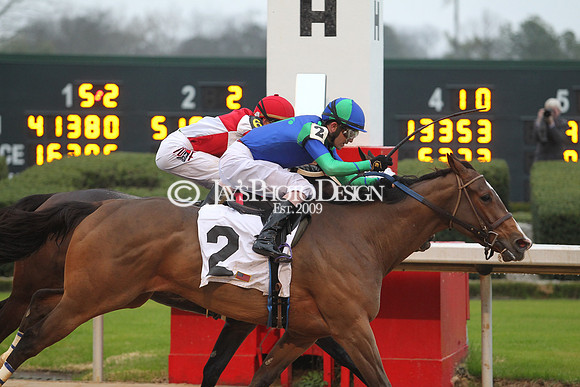 z200217_SouthwestStakesDay_Manning_0524