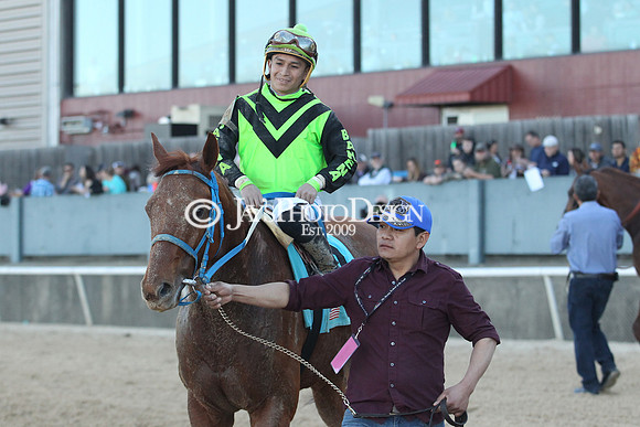 z190316_EssexStakes_Manning_0264
