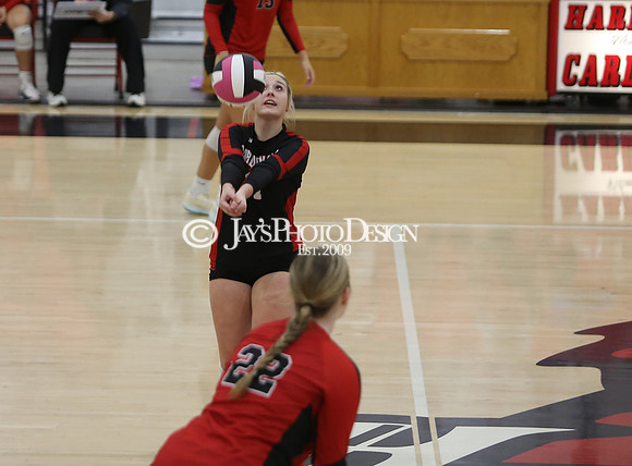 Wynne @ Harmony Grove 10-8-24_JWM_0132