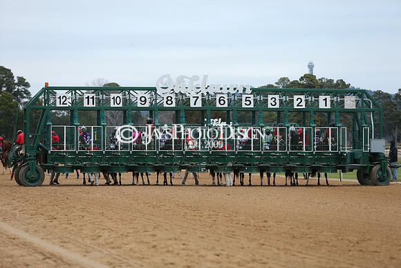 z210123_Pippin Stakes_Manning_0230