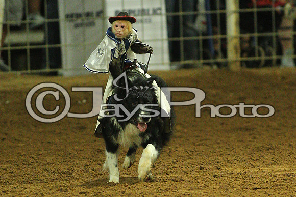 Saline County Rodeo 9-9-17_JWM00123