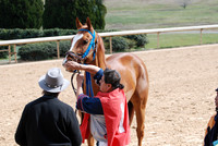 Oaklawn Park 3-3-13 JWM0013 (© Angela Greb)