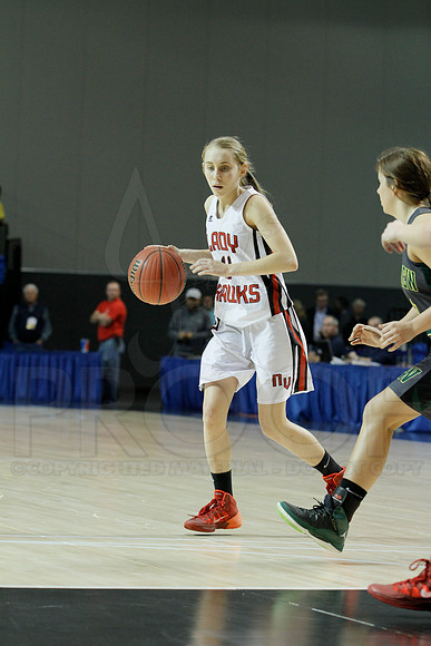 1A Girls State Finals-Nemo Vista vs. Wonderview 3-14-2014 (© Justin Manning) JWM_0167