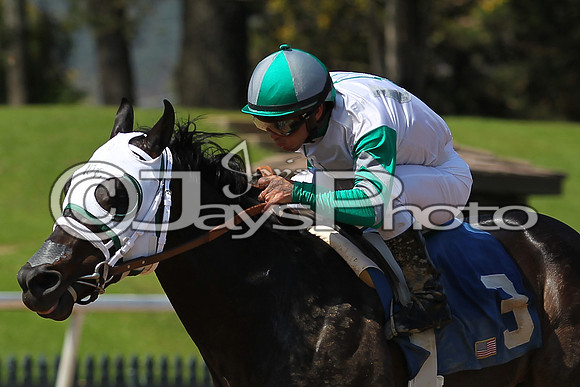 JWM_170318_RebelStakes_00066