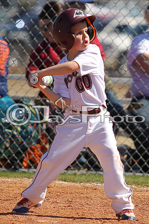 Benton Panthers vs. White Hall Dominators 2-27-16 JWM_0413