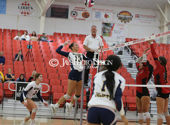 Wynne @ Harmony Grove 10-8-24_JWM_0208