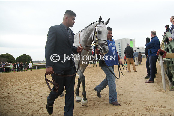z200217_SouthwestStakesDay_Manning_3729