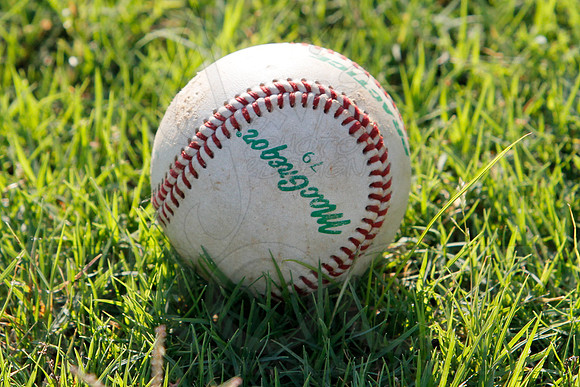 Phillies vs. Razorbacks 5-6 year old baseball 6-3-2014 (© Justin Manning) JWM_0020