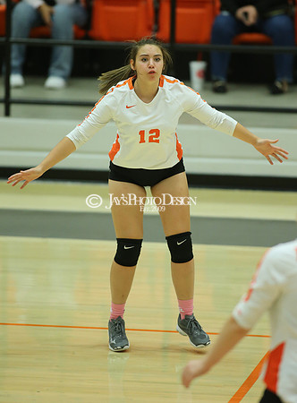 Camden Fairview @ Malvern JV_JWM_0107