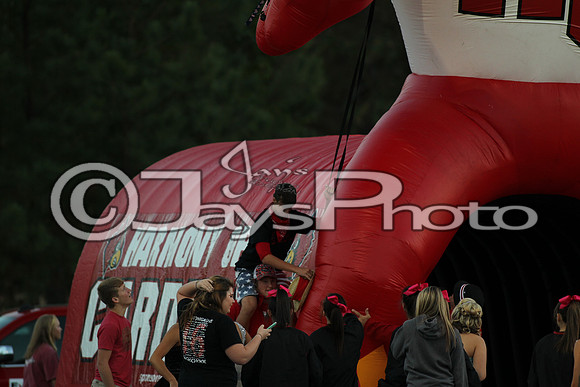 Bismarck @ Harmony Grove 10-2-2015 (©Justin Manning) JWM_0124