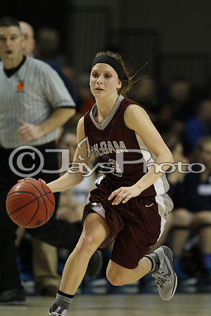 Greenwood vs. Siloam Springs 6A State Finals 3-13-2015 (©Justin Manning) JWM_142