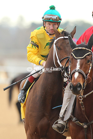 z190125_SmartyJonesStakesDay_Manning_0300