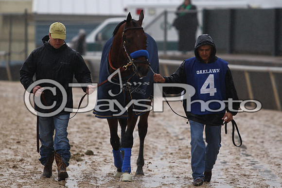 Oaklawn (Rebel Stakes Day) 3-14-2015 (©Justin Manning) JWM_125