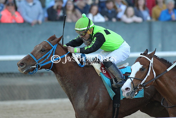 z190316_EssexStakes_Manning_0227