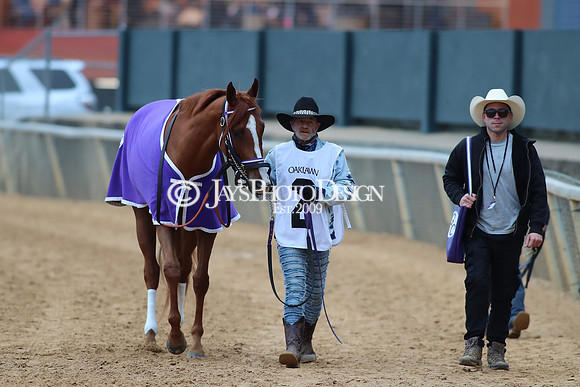 z250104_MockingbirdStakes _JWM_0463