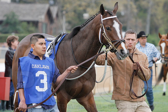 Fantasy Stakes 4-5-2014 (© Justin Manning) JWM_0580