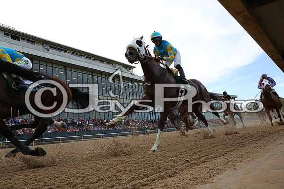 Arkansas Derby Day 4-11-2015 (©Justin Manning) JWM_2178