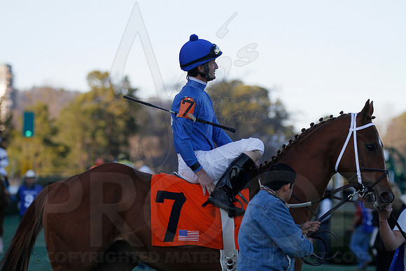 Oaklawn 1-21-13 (Smarty Jones Stakes) (Justin Manning)0138