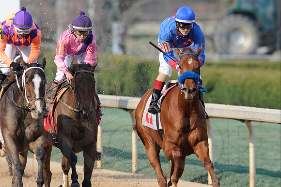 Honeybee Stakes (Grade III) 3-8-2014 (© Justin Manning) JWM_1417