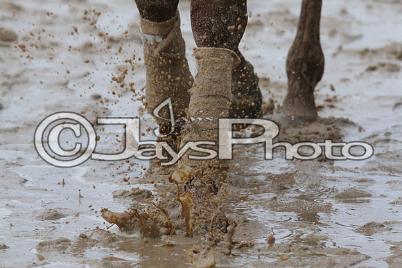 50th Running Southwest Stakes (Grade III) 2-22-2015 (©Justin Manning) JWM_027