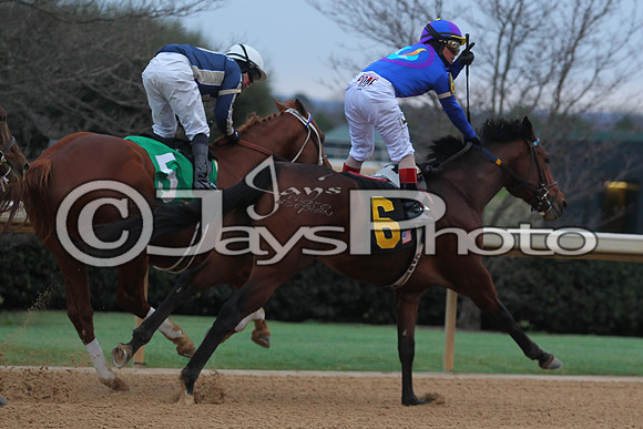 Oaklawn Smarty Jones Stakes 1-18-2016 (©Justin Manning) JWM_(0477