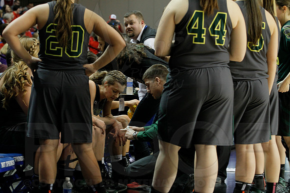 1A Girls State Finals-Nemo Vista vs. Wonderview 3-14-2014 (© Justin Manning) JWM_0066