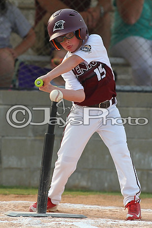 Benton vs. Hamburg 6 year old All Stars 6-29-2015 (©Justin Manning) JWM_0033