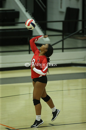 Camden Fairview @ Malvern JV_JWM_0374