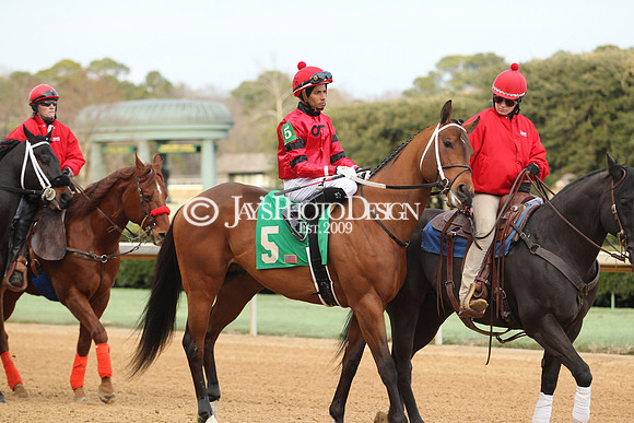 z190125_SmartyJonesStakesDay_Manning_0246