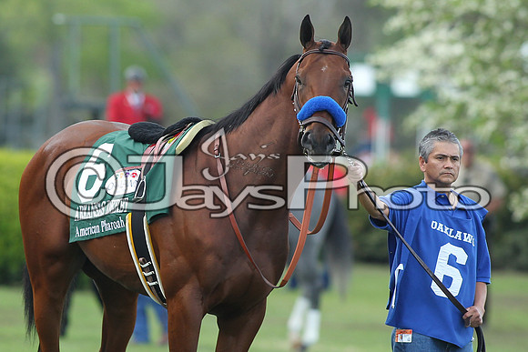 Arkansas Derby Day 4-11-2015 (©Justin Manning) JWM_2378