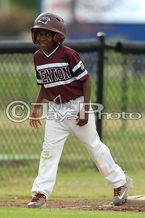 Benton vs. Clark County 6-27-16_JWM_0075