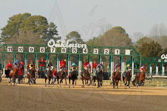 Honeybee Stakes (Grade III) 3-8-2014 (© Justin Manning) JWM_0258
