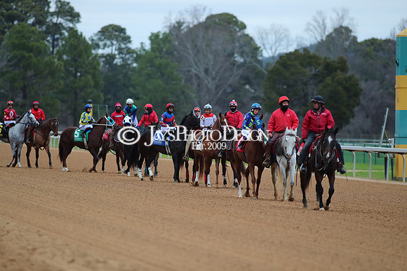 z250104_MockingbirdStakes _JWM_0549