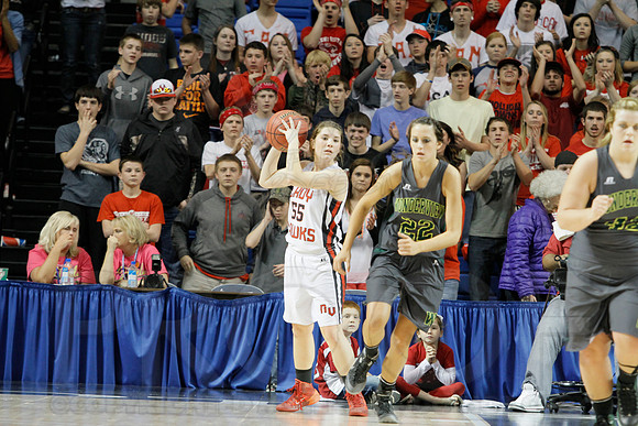 1A Girls State Finals-Nemo Vista vs. Wonderview 3-14-2014 (© Justin Manning) JWM_0141